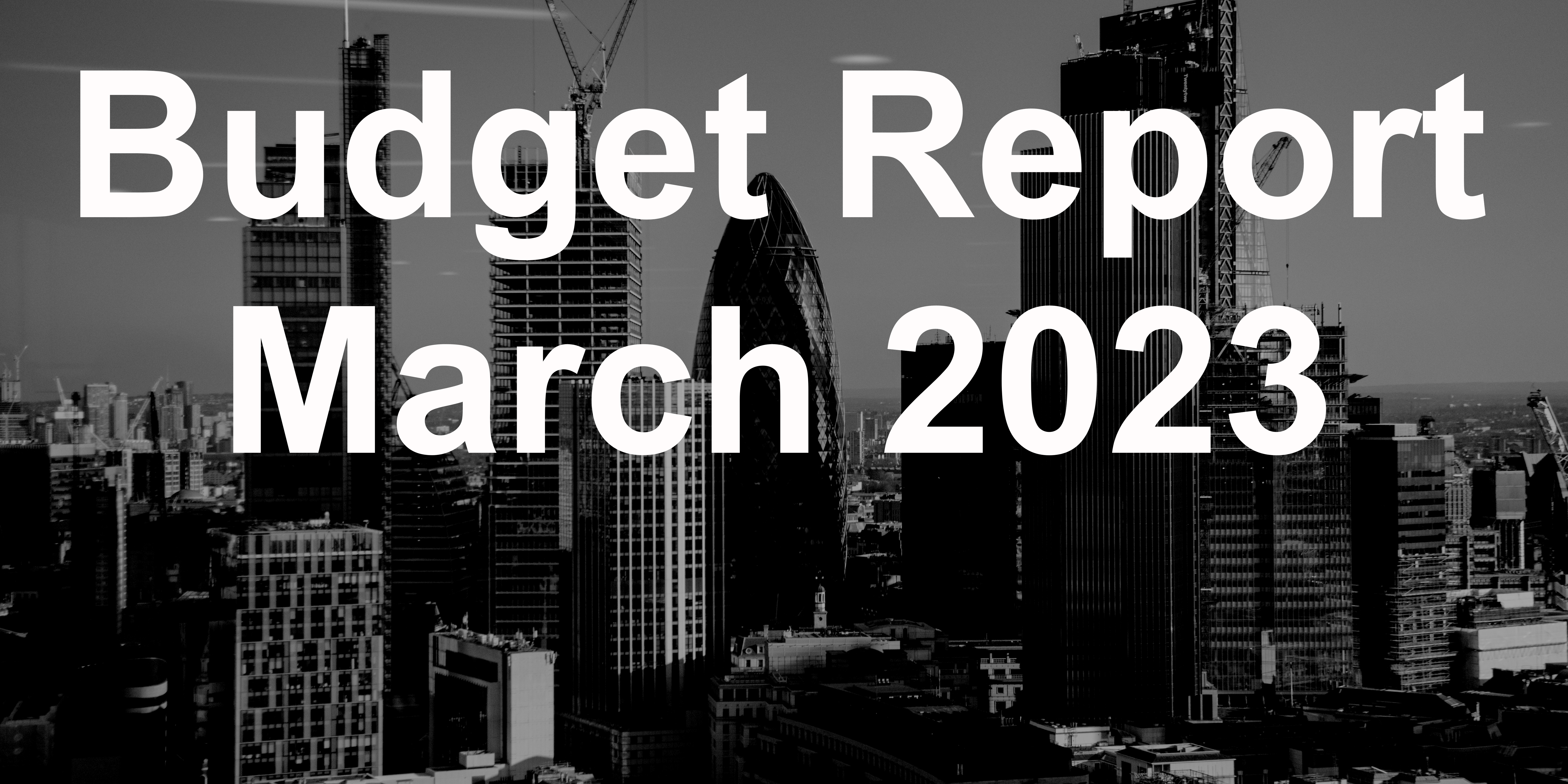 Budget_report_2023